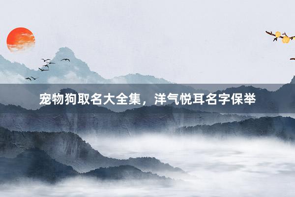 宠物狗取名大全集，洋气悦耳名字保举